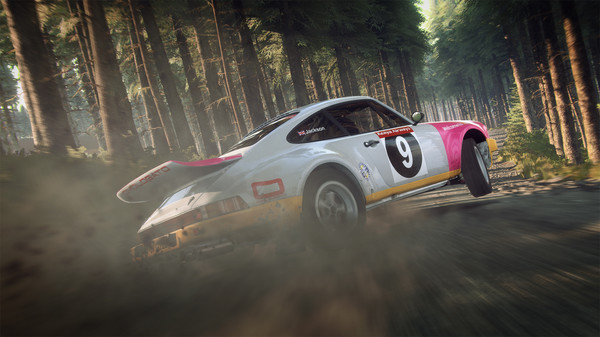 Dirt Rally 2.0 Systems & Builds Hub